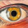 Artistic Lady Eye Paint By Numbers