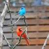 Red And Blue Birds Paint By Numbers