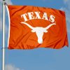 Texas Longhorn Flag Paint By Numbers