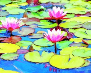 Pink Lily Pond paint by numbers