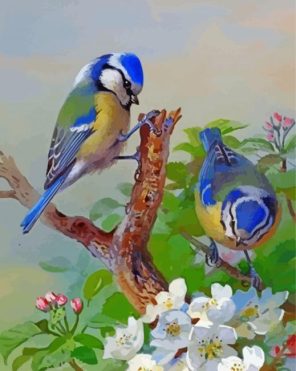 Blue Birds On Branch paint by numbers