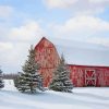 Barn Red With Snow paint by numbers