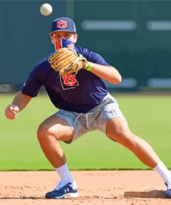 Auburn Tigers Baseball Team paint by numbers