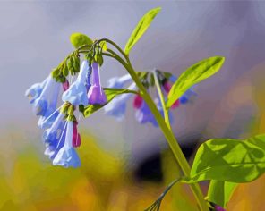 Beautiful Bluebells Paint By Numbers