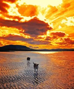 Dogs On Beach Paint By Numbers