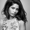 Monochrome Freida Pinto Paint By Numbers