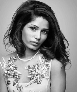 Monochrome Freida Pinto Paint By Numbers