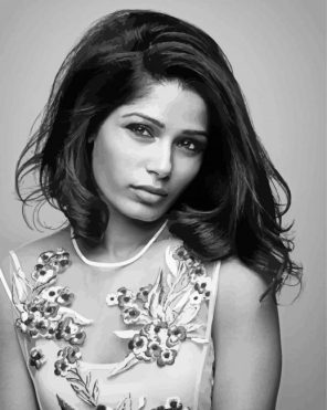 Monochrome Freida Pinto Paint By Numbers