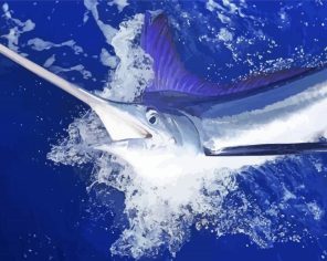 Blue Marlin Paint By Numbers