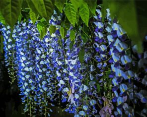 Blue Wisteria Tree paint by numbers