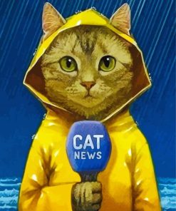 Cat Reporter Under Rain paint by numbers