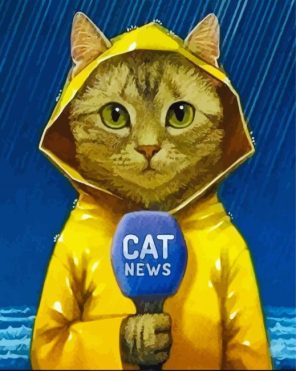 Cat Reporter Under Rain paint by numbers