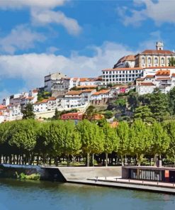 Coimbra Buildings Paint By Numbers