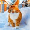 Cute Cat And Snow paint by numbers