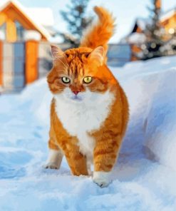 Cute Cat And Snow paint by numbers