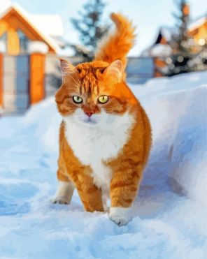 Cute Cat And Snow paint by numbers