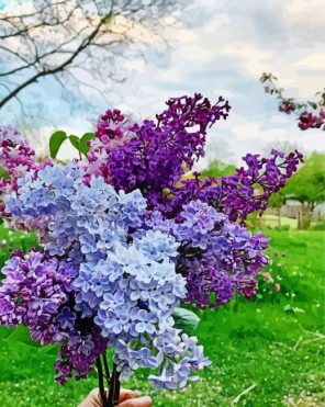 Cute Lilac Tree paint by numbers