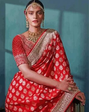 Red Saree paint by numbers