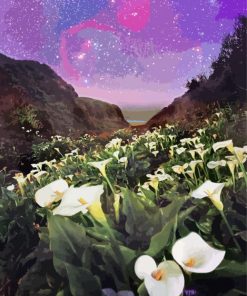 Arum Lilies In Field Paint By Numbers