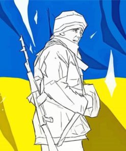 Ukraine Warrior Art Paint By Numbers