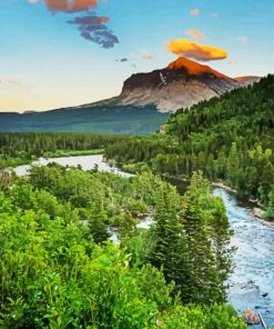 Whitefish Montana Forest paint by numbers