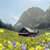 Aesthetic House With Flowers Paint By Numbers