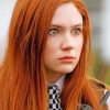 Amy Pond Paint By Numbers