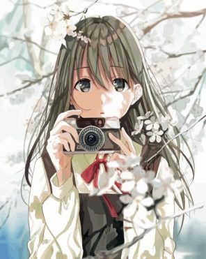 Photographer Anime Paint By Numbers