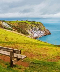 Berry Head Landscape Paint By Numbers