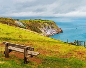 Berry Head Landscape Paint By Numbers