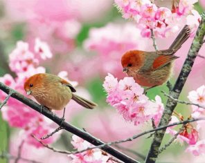 Birds In Pink Flowers Paint By Numbers