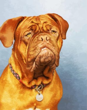 Bordeaux Mastiff Dog Paint By Numbers