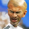 Caricature Zinedine Zidane Paint By Numbers