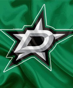 Dallas Stars Hockey Logo Paint By Numbers