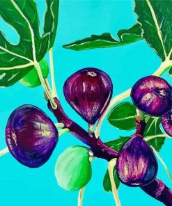 Fig Tree Art Paint By Numbers