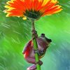 Frog Using Flowers As An Umbrella Paint By Numbers