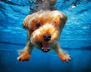 Funny Cain Terrier Underwater Paint By Numbers