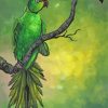 Green Ringneck Parrot Paint By Numbers