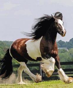 Gypsy Vanner Running Paint By Numbers