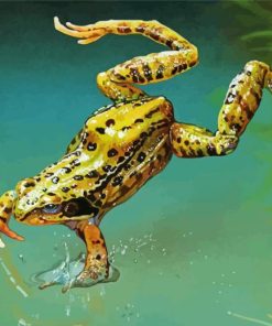 Marsh Frog Jumping Paint By Numbers