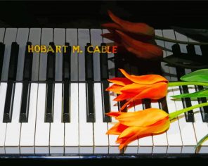 Piano With Orange Flowers Paint By Numbers