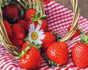 Strawberries And Daisy Paint By Numbers