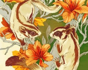 Sugar Gliders Art Paint By Numbers