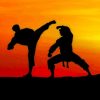 Taekwondo Silhouette Art Paint By Numbers