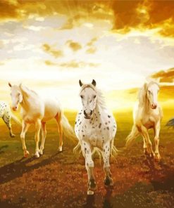 The Seven Running Horses At Sunrise Paint By Numbers