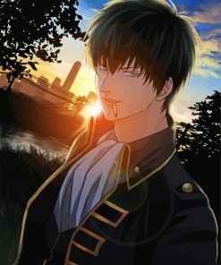 Toshiro Hijikata Gintama Anime Paint By Numbers