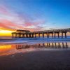 Tybee Island Beach Pier Paint By Numbers