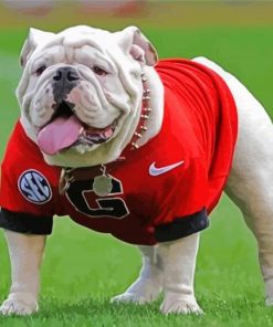 Aesthetic Georgia Bulldog Paint By Numbers