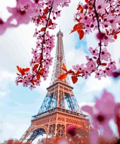 Cherry Blossom Eiffel Tower Parise Paint By Numbers