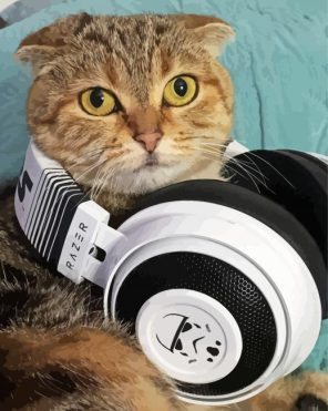 Cool Cat Wearing Headphones Paint By Numbers